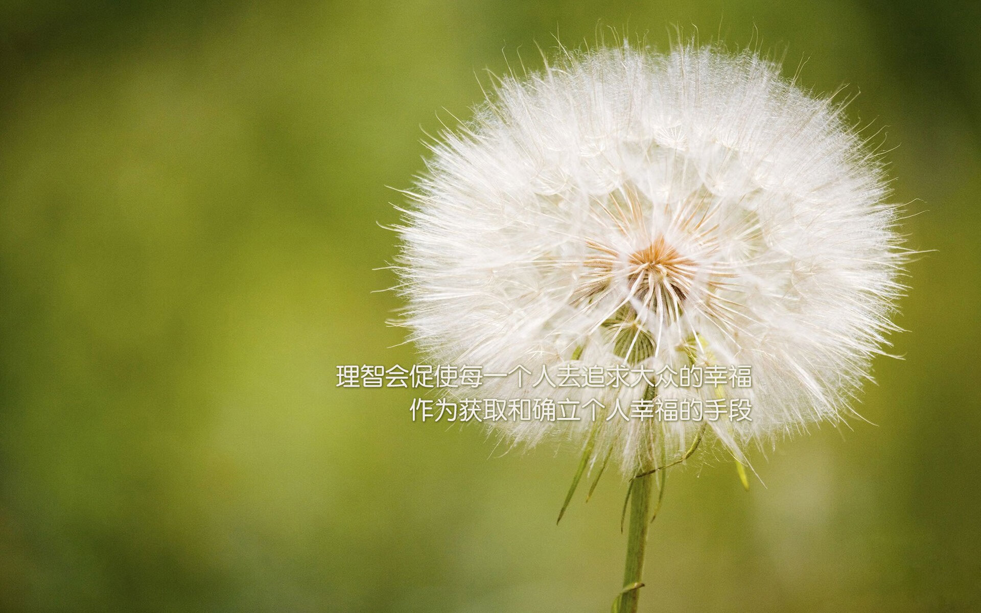 冬奥会特技滑雪赛,技术与勇气的极致展现,冬奥会滑雪项目简介